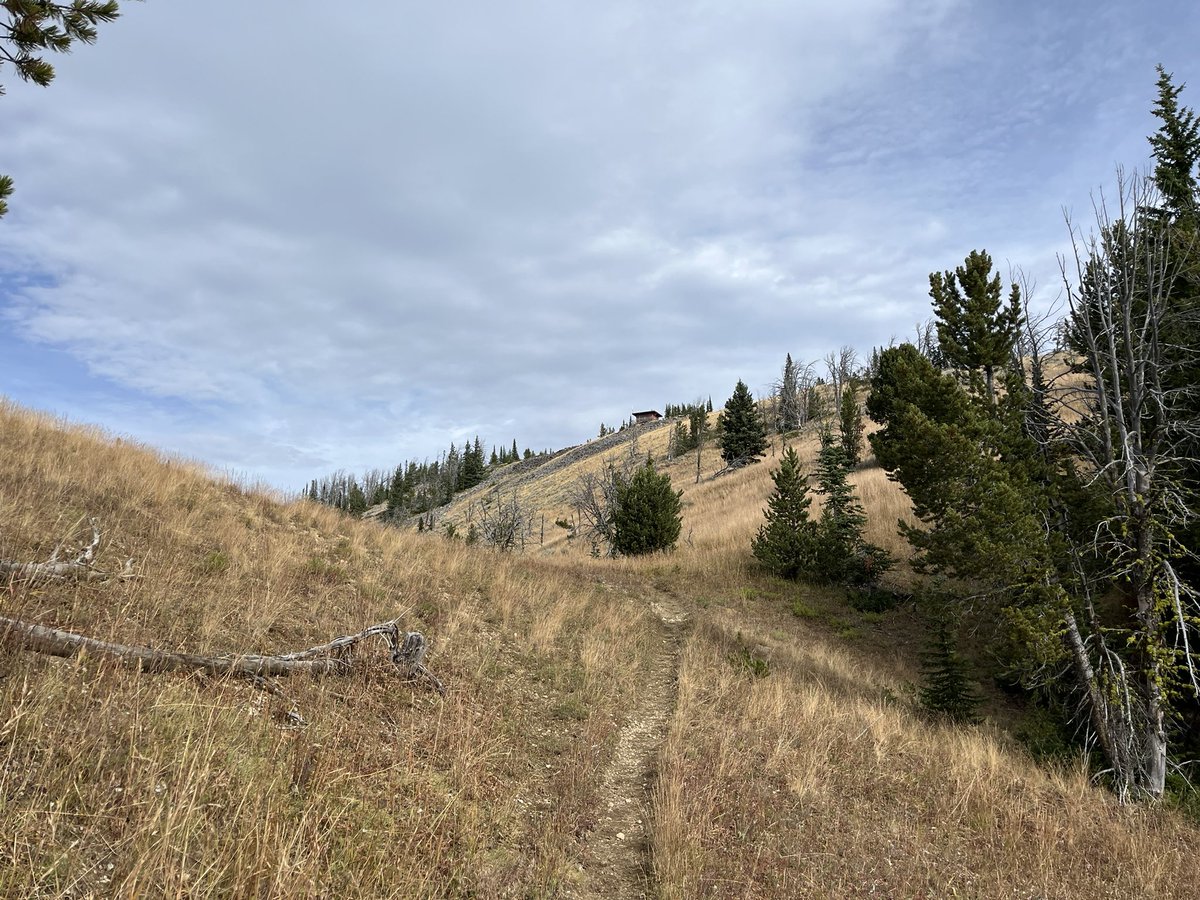 lmjacks2's tweet photo. bonus pix. 2600ft elevation gain over ~4.2 miles https://t.co/hZQJ5So2ge