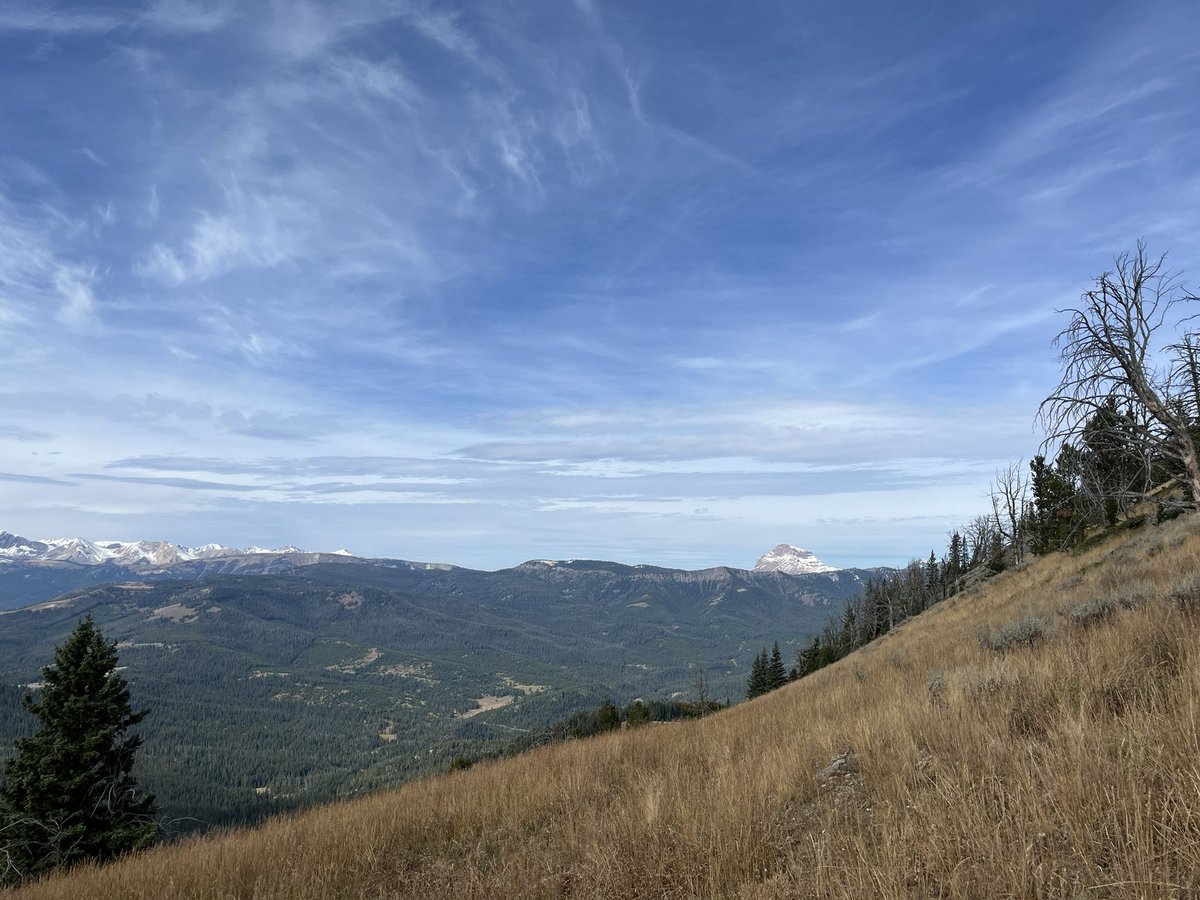lmjacks2's tweet photo. bonus pix. 2600ft elevation gain over ~4.2 miles https://t.co/hZQJ5So2ge