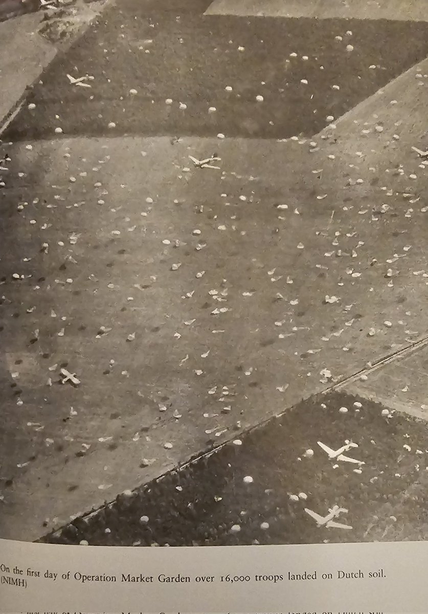 Primal Bushcraft Survival tweet media