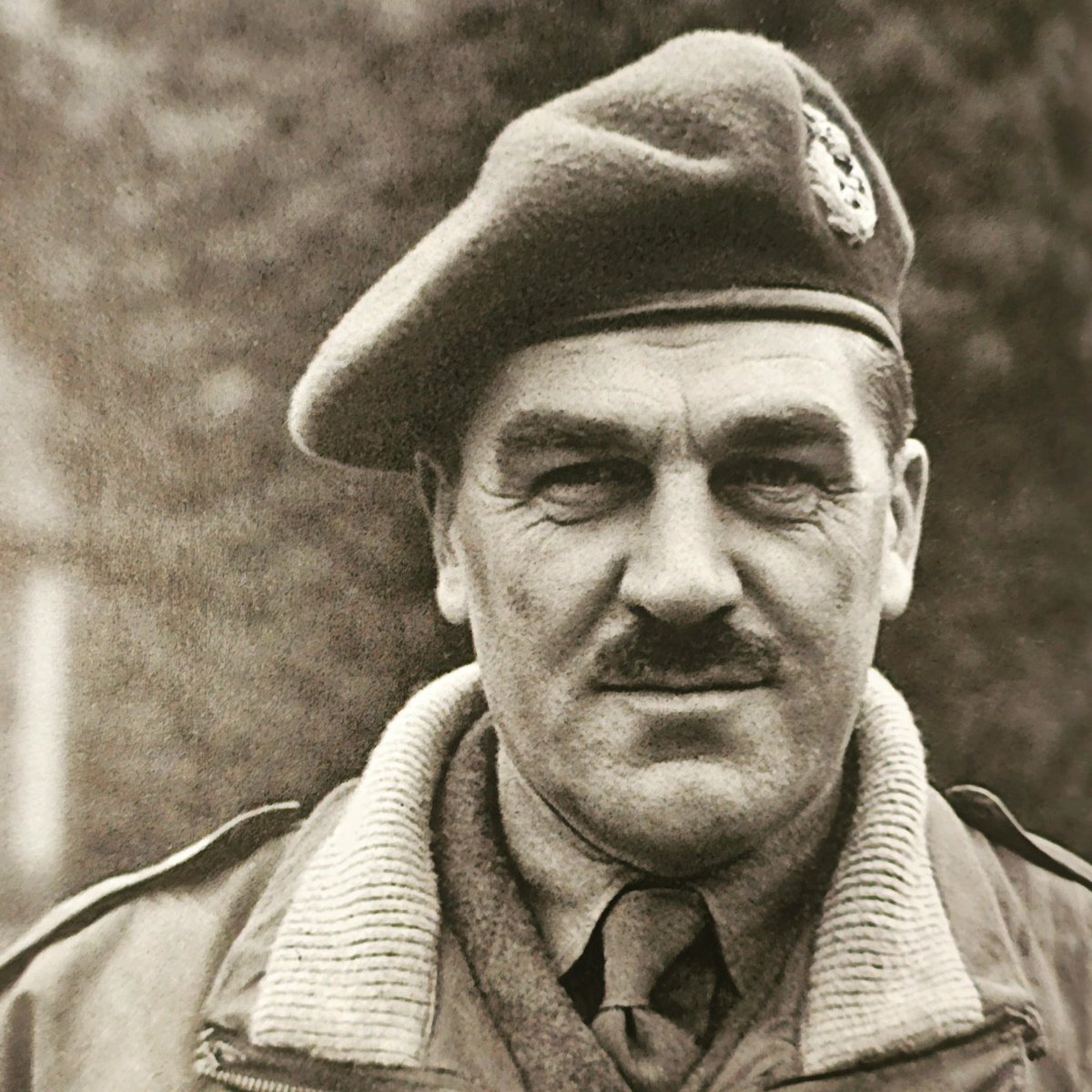 Primal Bushcraft Survival tweet media