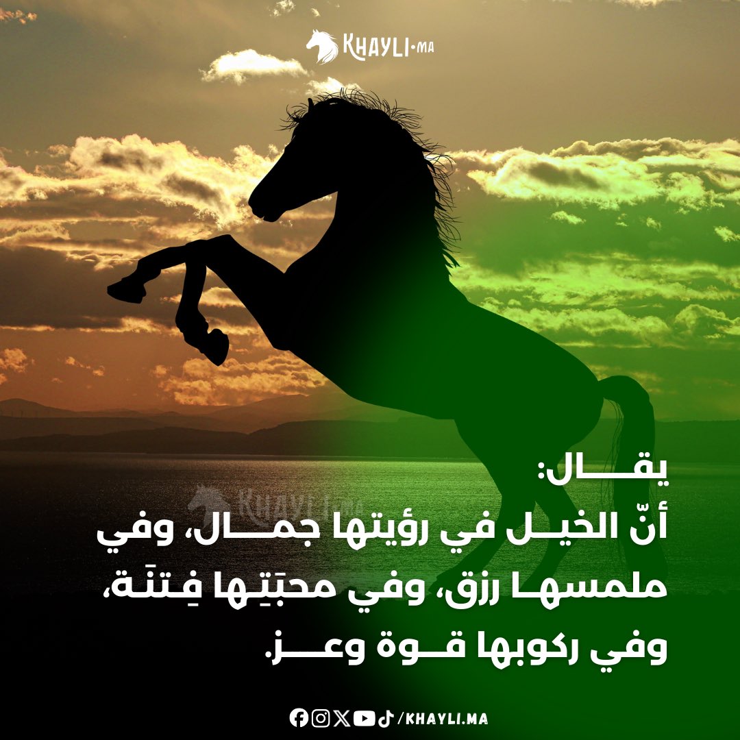 Khayli_ma's tweet photo. يقال:
 أنّ الخيل في رؤيتها جمـال، وفي مل��سها رزق، وفي محبَتِـها فِـتنَـة، وفي ركوبها قوة وعز.🐎🤍 

#الخيل #خيول #خواطر https://t.co/mWZ2GKVCQJ