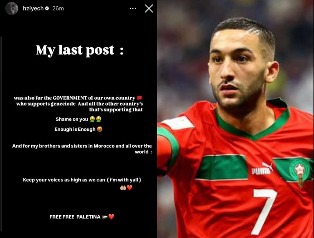 🦅 tweet media