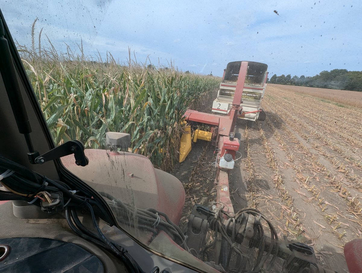 Figured it was time to join the silage club.