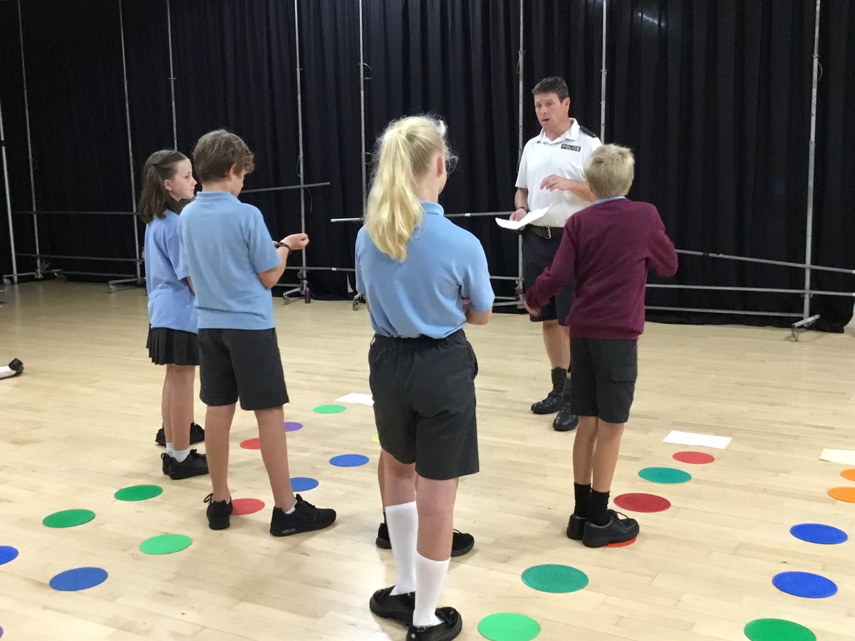 La Mare Primary tweet media