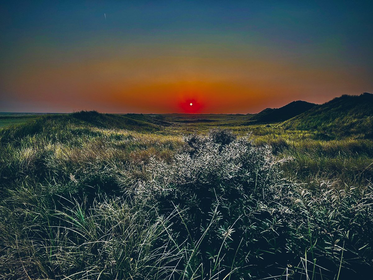 richardtkiewiet tweet media