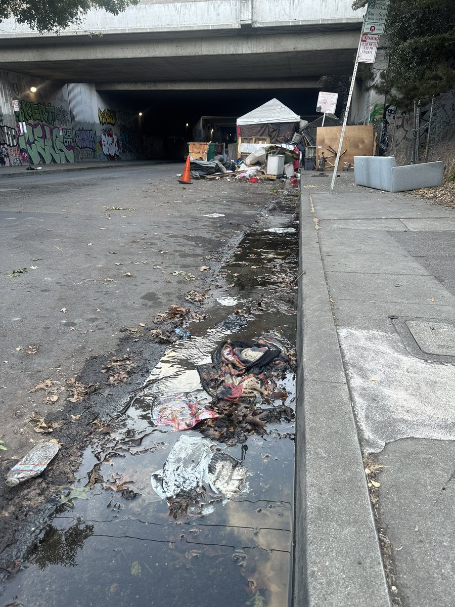 The gutter outside my house on 29th St (in between MLK/Telegraph). It is filled w/ trash, septic tank water from
RVs &amp; other human waste since there are no portapotties at the encampment. This is an environ &amp; public health disaster. #Oakland #California #AlamedaCounty #BayArea