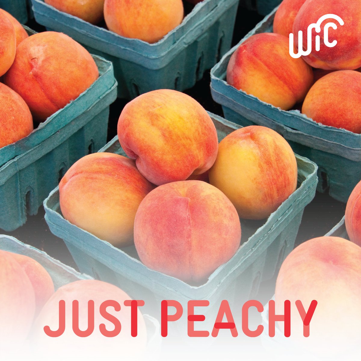 WICYouGotThis's tweet photo. Peaches are this month’s #WICApproved food of the month! 🍑

Not only are peaches in-season at many farmers markets this summer, but they’re also loaded with vitamin A, vitamin C, and potassium to keep you and your little ones healthy—and we think that’s just peachy. https://t.co/uIhLMrU3Ha