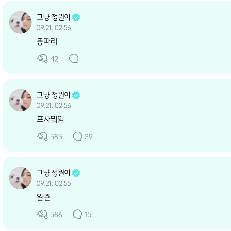 rikiniki__jjang's tweet photo. 아니 ㅋㅋㅋㅋㅋ 소녀가 푹 잤는가 하니까
쩡어니 완죤 귀엽게 🐱완죤 하더니
프사뭐임 
똥파리 << 웃겨서데굴데굴구름 https://t.co/G08t81u1E4