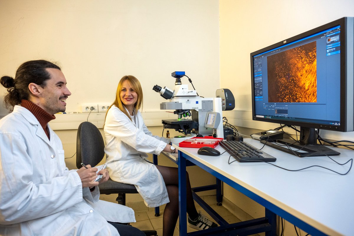 iBraiN Inserm Lab 🧠 🌱 tweet media