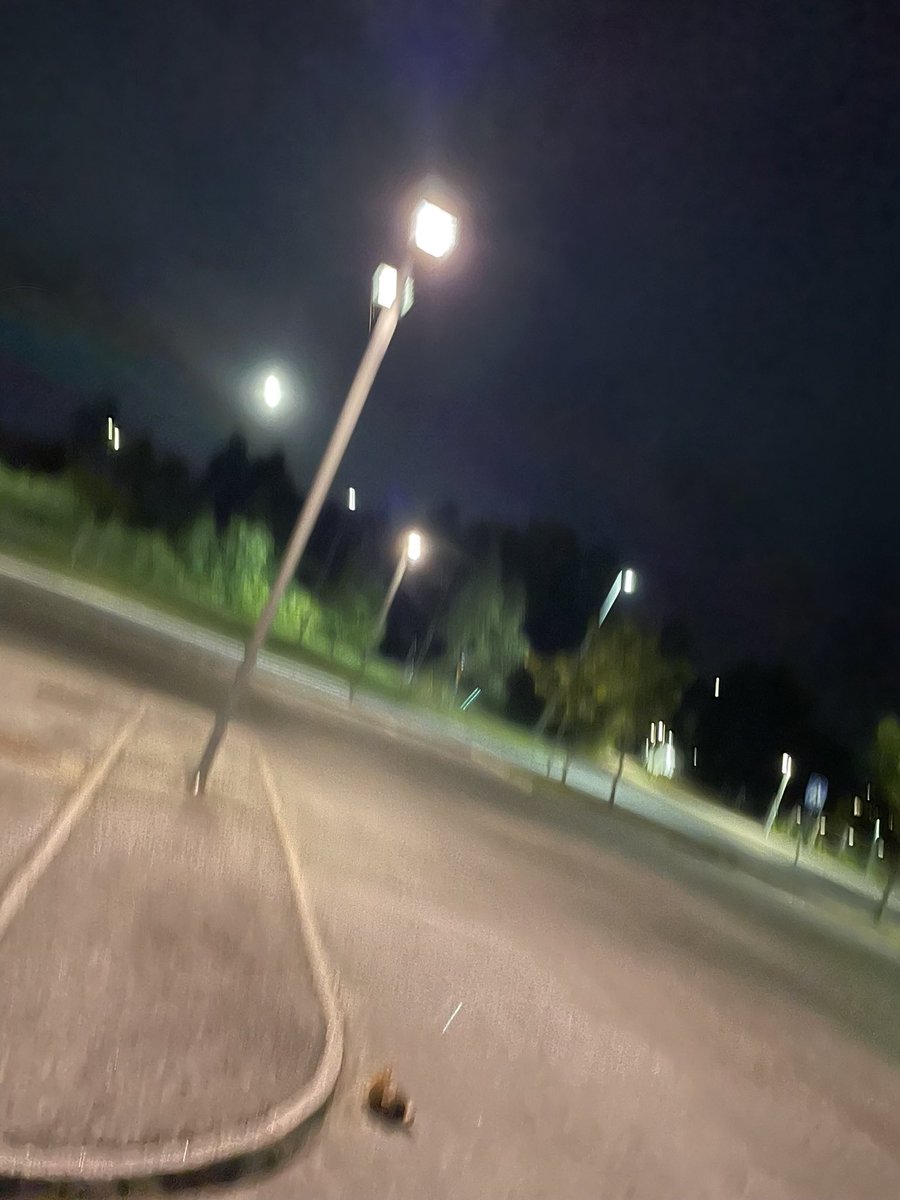 loading_xo's tweet image. Wanting to tell a pretty little subby pup how adorable they are and instruct them to touch themselves but not having the acc size to reach them all is so sad

#nsfwtwt #daddy #daddykink #sizekink #cnc #cnckink #ddlg #puppygirl #dom #sub #orgasmctrl