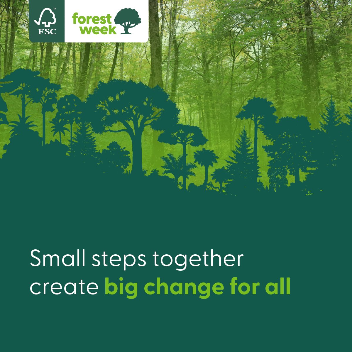 Today marks the last day of #FSCForestWeek 🌳

We've reflected on the small steps that can be taken daily to create positive change for our forests. But it does not stop here.

Support <a href="/FSC_IC/">Forest Stewardship Council</a> and <a href="/FSC_US/">FSC US</a> to protect our forests for all, forever 🌲🌍

FSC® C125336