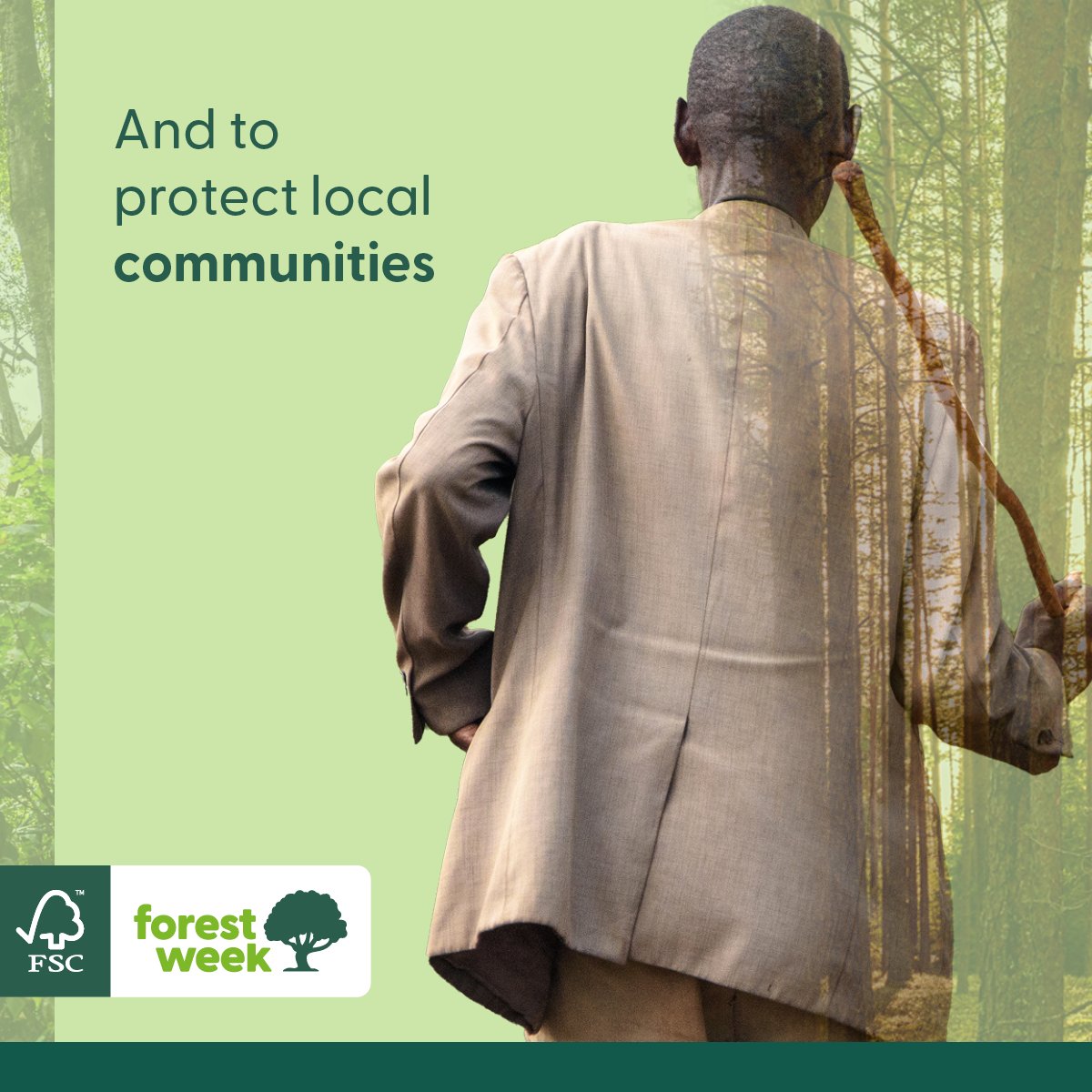 🌳 Forests not only sustain human life by being a source of clean air, water and products - they're also home to millions of people.

We support the rights of Indigenous Peoples and local communities, as a Certificate Holder during #FSCForestWeek and beyond.
FSC® C125336