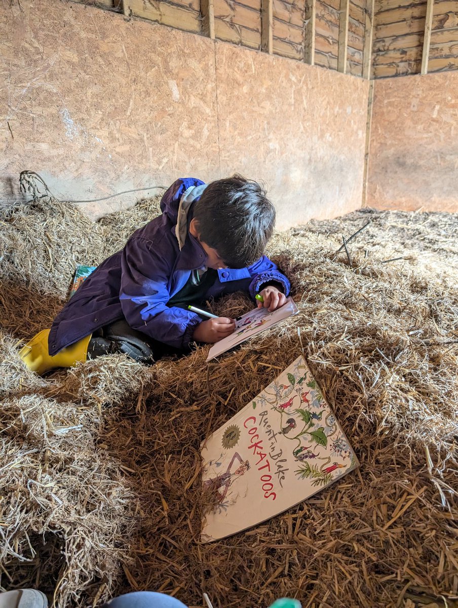 YH_SmallHolding's tweet image. A mindful finish to the week with some colouring and reading with the pigs during donkey downtime today @YorkHouseSch #smallholding #Mindfulness