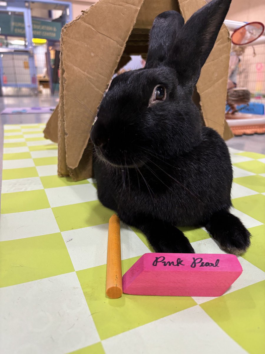 Cris Winter tweet media