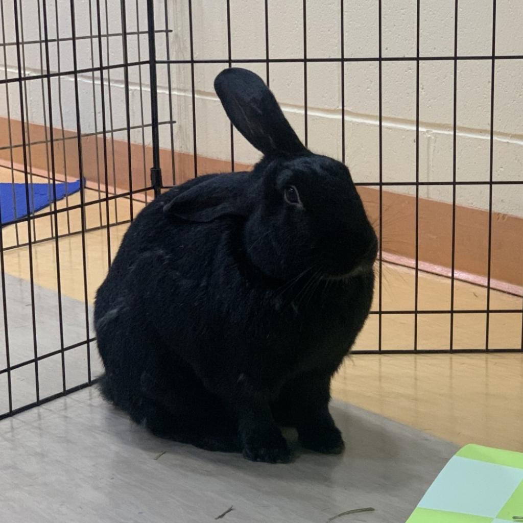 Cris Winter tweet media