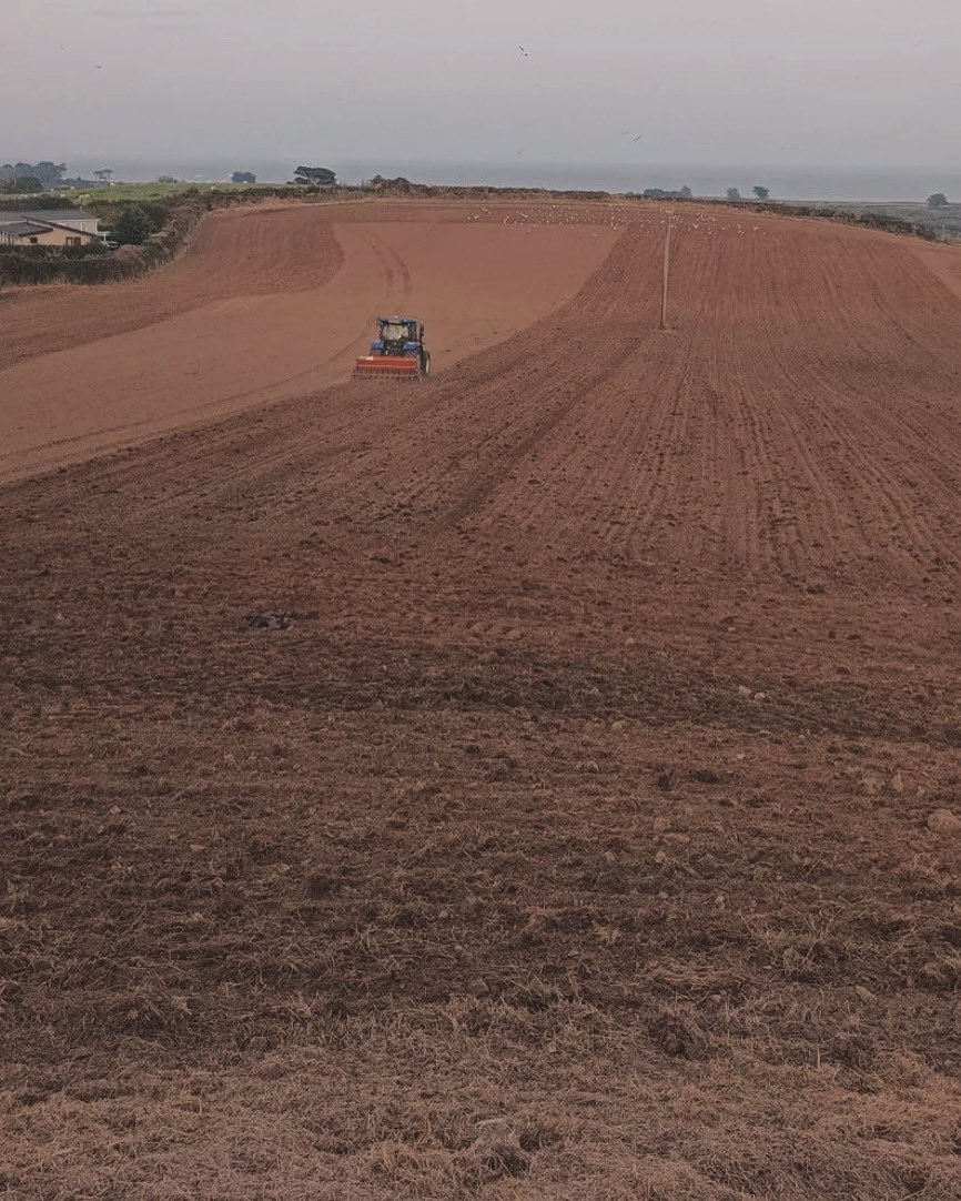 Agronomysilvers's tweet photo. Winter wheat going in this evening @AbersochLife @AgriiUK #crop2024 #grandjob https://t.co/vcG2i20BrY