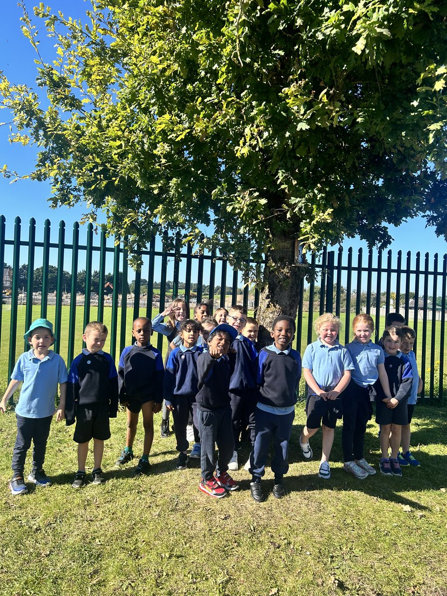 Aoife Hardiman tweet media