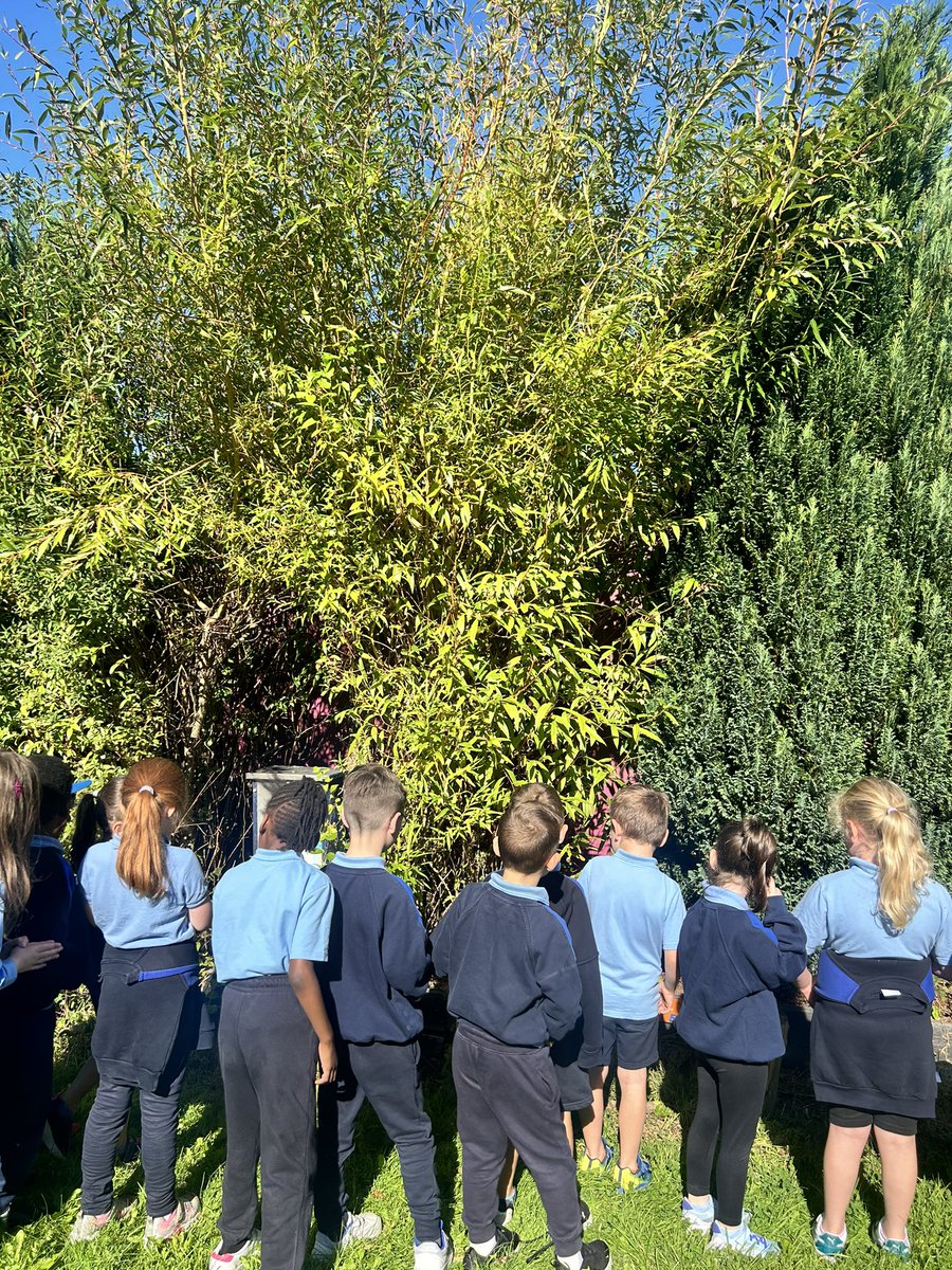 Aoife Hardiman tweet media