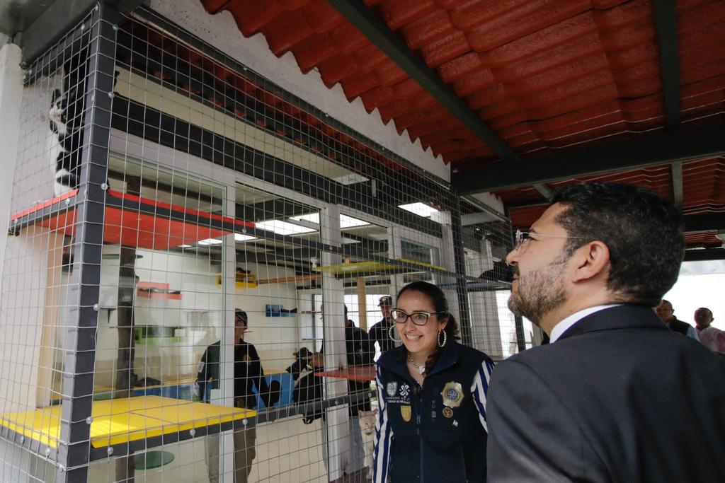 martibatres's tweet photo. Con mucho agrado inauguramos "Michigan", la ciudad de los gatos, y el área de fauna silvestre, ambos al interior de la Brigada de Vigilancia Animal de la @SSC_CDMX, creados con el apoyo de la Fundación Antonio Haghenbeck y de la Lama.

Estos nuevos albergues sirven para el rescate, resguardo temporal y la protección de gatos y animales de granja, silvestres y nativos, con todas las condiciones para cubrir las necesidades de cada especie.

¡Les invitamos a adoptar un "michi" con la Brigada de Vigilancia Animal de la @SSC_CDMX!

#GobiernoConAcentoSocial