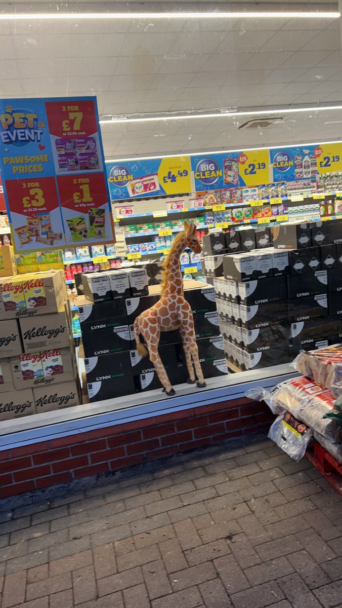 What is Stansfield doing in Wrexham B&amp;M? #BCFC