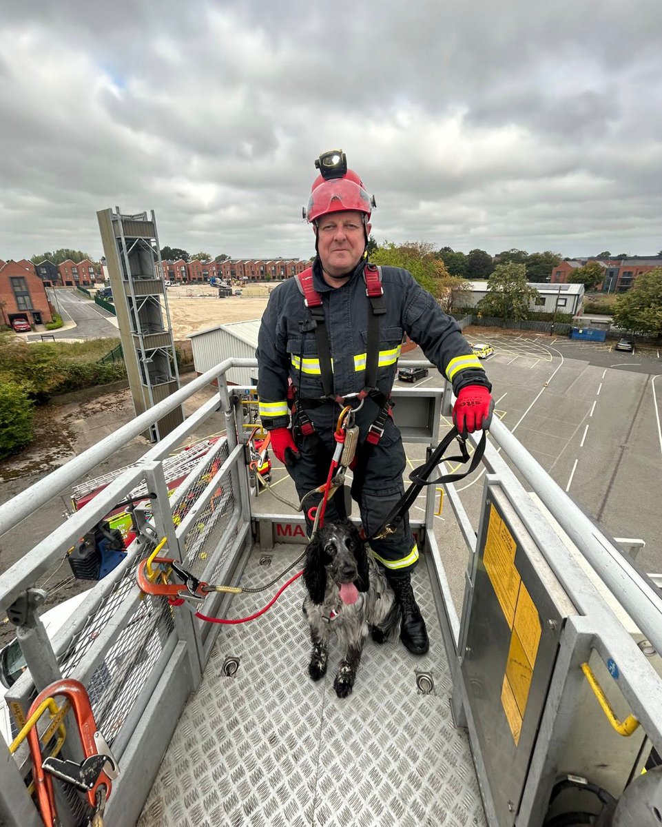 East Mids Fire Dog tweet media