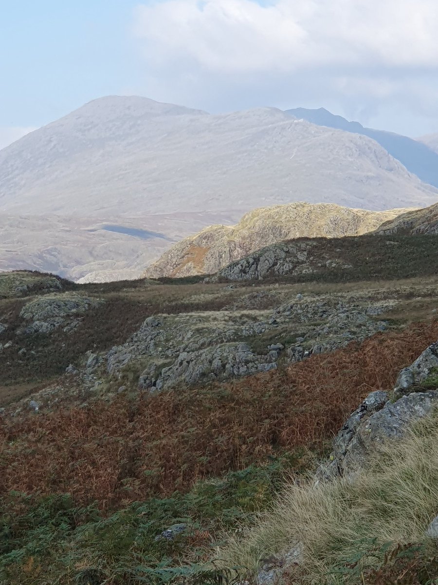 SheilaG17662835's tweet photo. Today's #wainwrightwalk was Green Crag in Eskdale .A long way from home for us which is why we have never done it before. Cracking #walk a bit wet under foot could have been wetter on other days I think. Smashing #views of #Scafell @keswickbootco @ShowcaseCumbria
#LakeDistrict https://t.co/dTedYzfHJQ