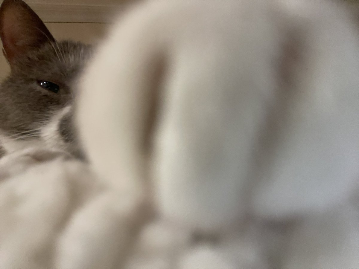 it’s fist pum p fridae