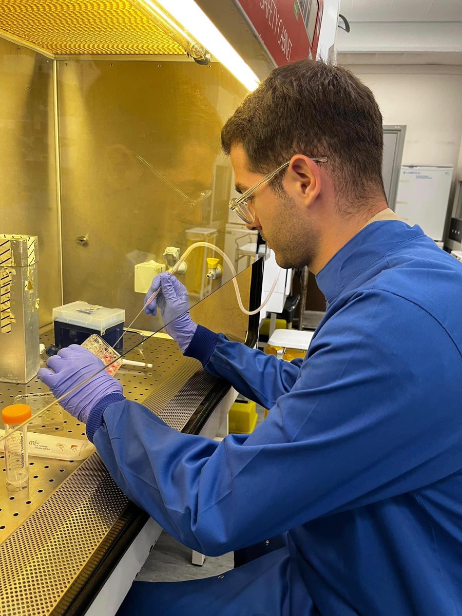 Rektorati's tweet image. Three University of Prishtina researchers are advancing their skills at King’s College London through the EU-funded NanoKos project, promoting academic excellence and global research collaboration! 🌍📚 #NanoKos #UP #KCL