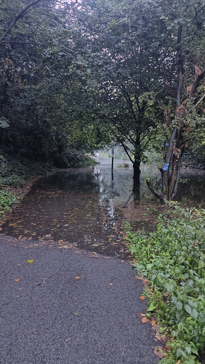 Dave Winter tweet media