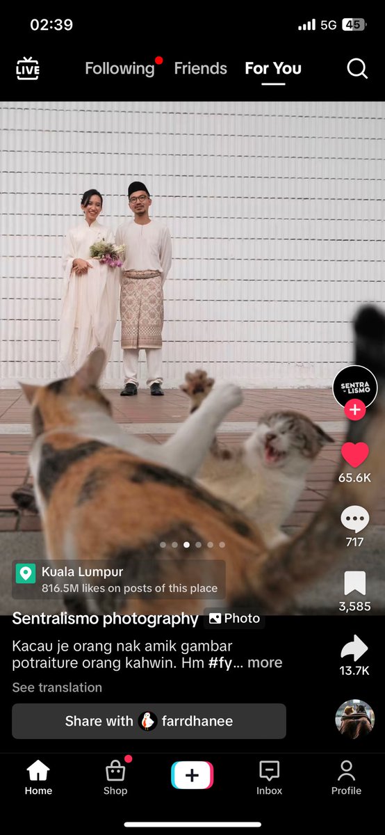 Neko 🍉 tweet media