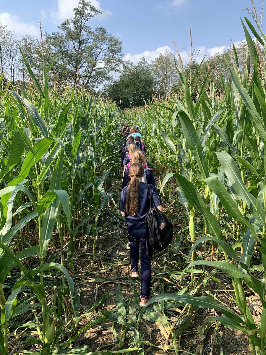 HWD_Upper's tweet photo. Fields, woods and train tracks. What a lovely way to end the week. The kids embarked on a 10 mile hike and were absolutely amazing! #HazelwoodYear8 #HazelwoodUpperSchool #HazelwoodMakingMemories https://t.co/1Xh9AkyC13