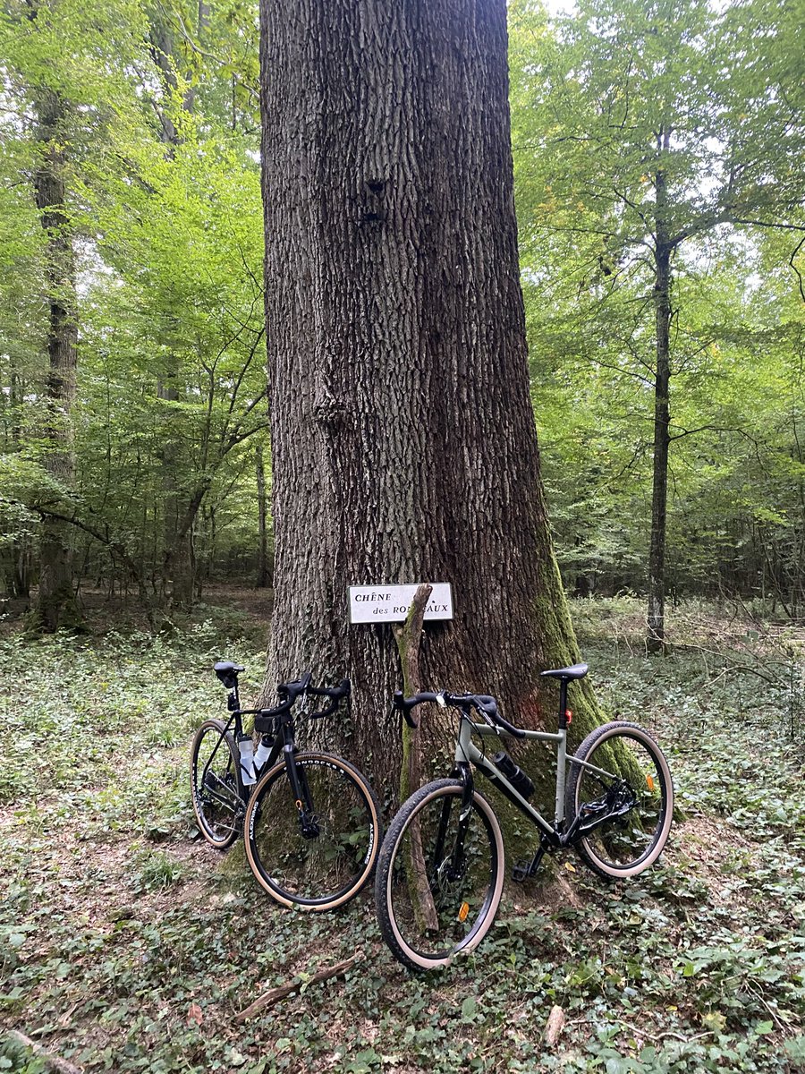 Hoonited 🇺🇦 tweet media