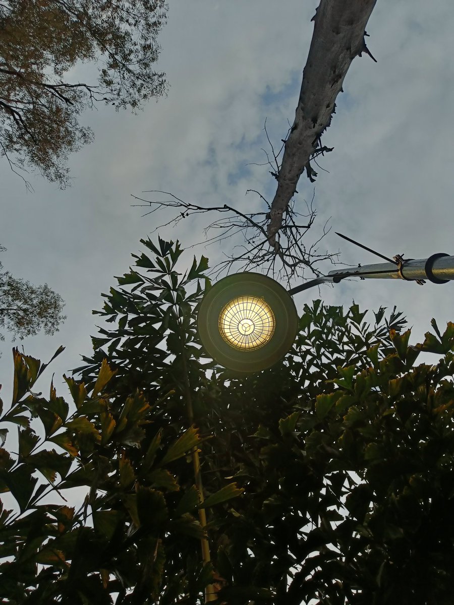 PrateekRajwada's tweet image. ये सर्द रात ये आवारगी ये नींद का बोझ 
हम अपने शहर में होते तो घर गए होते
: उम्मीद फाजली

#hindishayri #hindi
#kuwarprateeksingh #kunwarsahab #hindiquotes #kuwarprateeksinghshayri