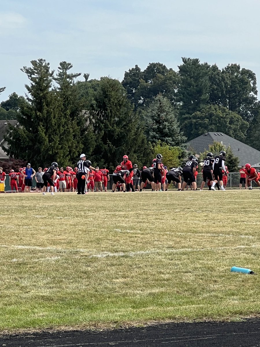 Carol Luciani tweet media