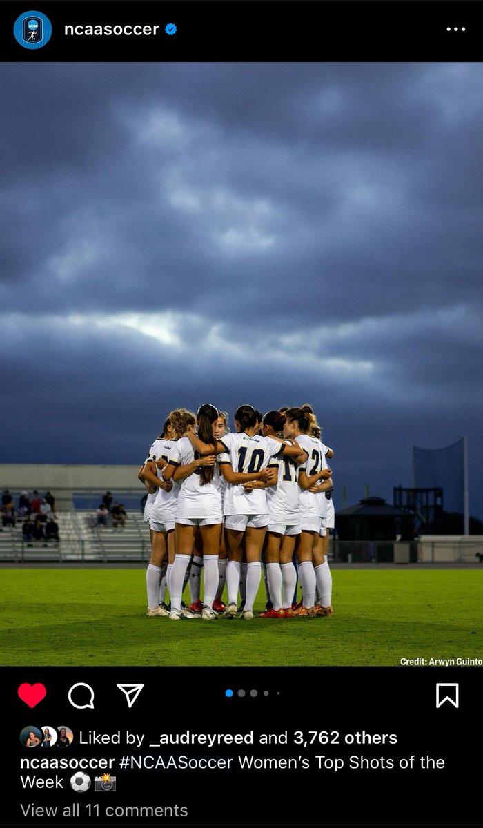 UCSD Women's Soccer tweet media