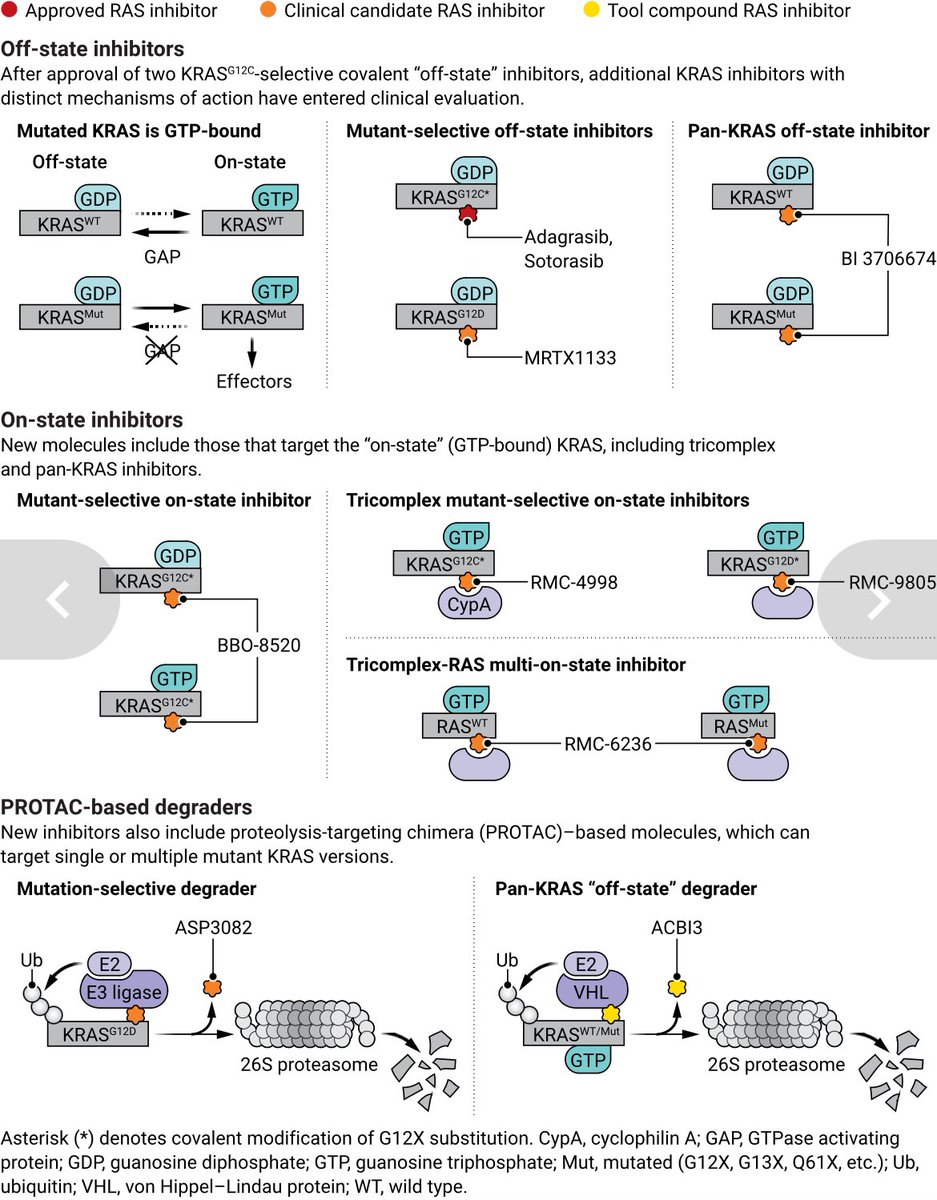 Anirban Maitra (@aiims1742) on Twitter photo This is a nice summary of the mechanisms of action of various KRAS inhibitors from Adrienne Cox & <a href="/cjder23/">Channing Der</a> in their <a href="/ScienceMagazine/">Science Magazine</a> perspective. This is a nice summary of the mechanisms of action of various KRAS inhibitors from Adrienne Cox & <a href="/cjder23/">Channing Der</a> in their <a href="/ScienceMagazine/">Science Magazine</a> perspective.
