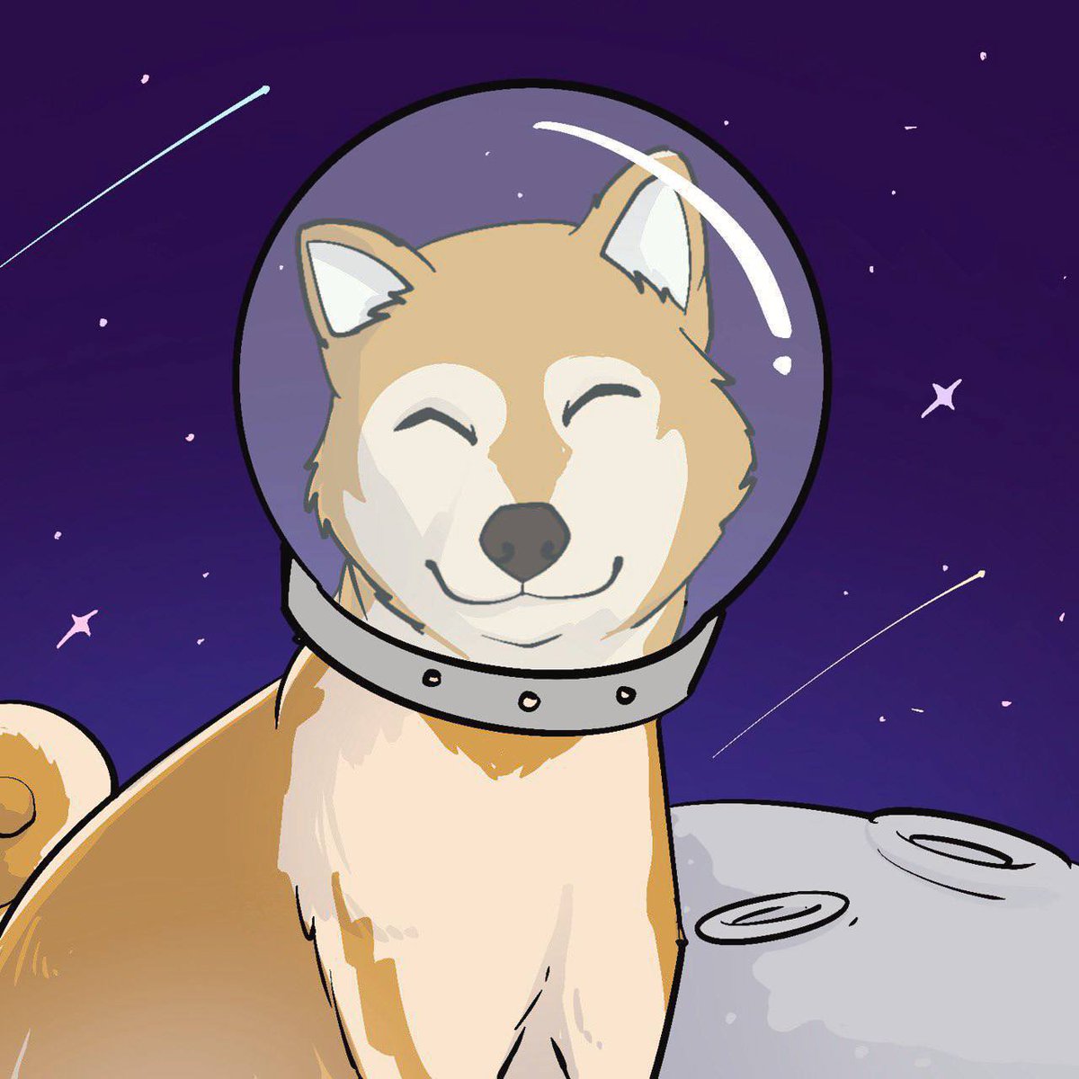 jakemagnus13's tweet photo. @IcedKnife #RINTARO and chill brother. Rintaro gonna be top dog of SOL with his brother Neiro, Papa Doge and Mama Shib. Bitmart listing on day 3, Binance articles. You know where this is headed… @rintarosolana https://t.co/mOnYkcEWBU