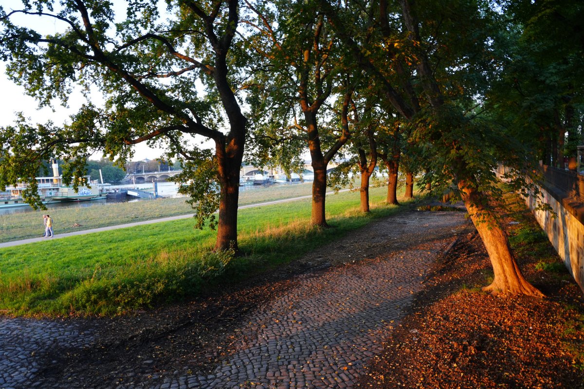 Forstler1's tweet image. Abend an der Elbe in #Dresden. Das #Hochwasser ist deutlich gesunken. Die #Carolabrücke steht noch, die Trümmer im Strom hielten stand. Wenn das Wasser weiter gesunken ist, geht es an Abriß der Trümmer von Strang C, was nach Plan etliche Wochen dauern wird. Was wird mit B und A?