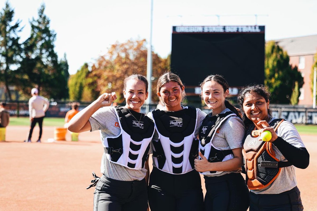 laying the foundation 🧱