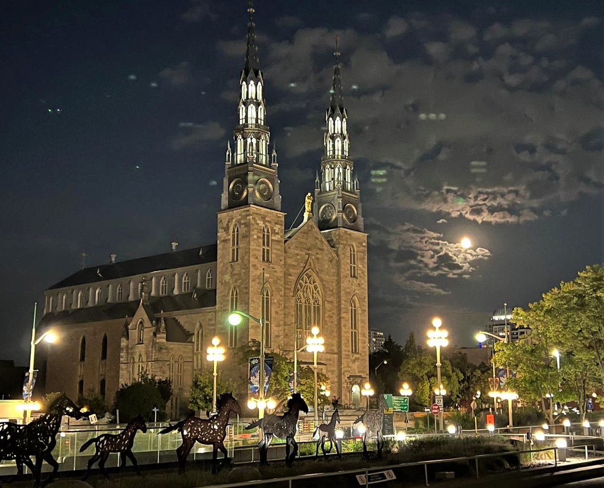 DFGNorthAmerica's tweet image. 📰 Would you like to practice your German, guess our weekly picture puzzle AND stay up to date on the latest scientific topics? Then take a 👀@ our latest edition of the Nachrichtenüberblick!
➡️tinyurl.com/3tdrsc95
