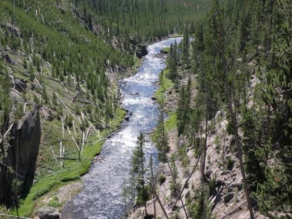 Ashley Watts tweet media