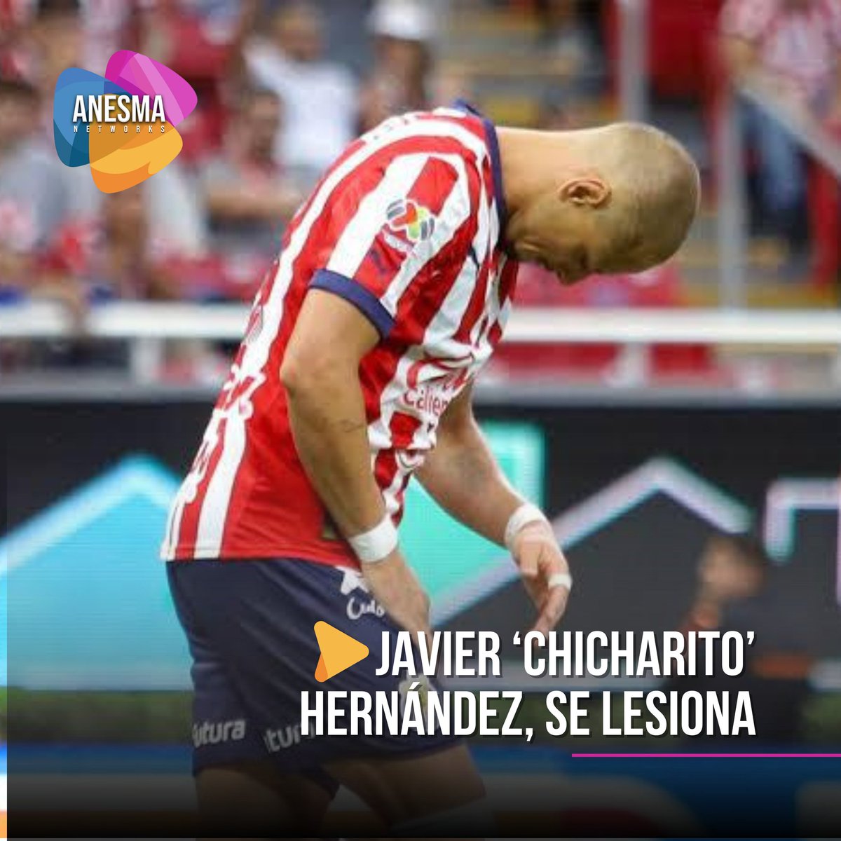 🚨¡#CHICHARITO LESIONADO! 🤕

Una vez más Javier ‘Chicharito’ Hernández, tuvo una lesión muscular del biceps femoral izquierdo y no estará disponible para el partido contra la Máquina. 🚂

#Anesma #Informa #Deportes #Futbol
