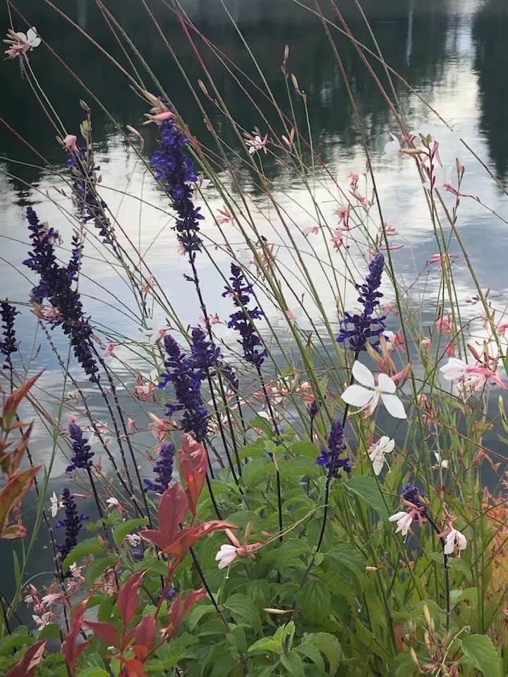 Wishing you a lovely day 🤍🤍