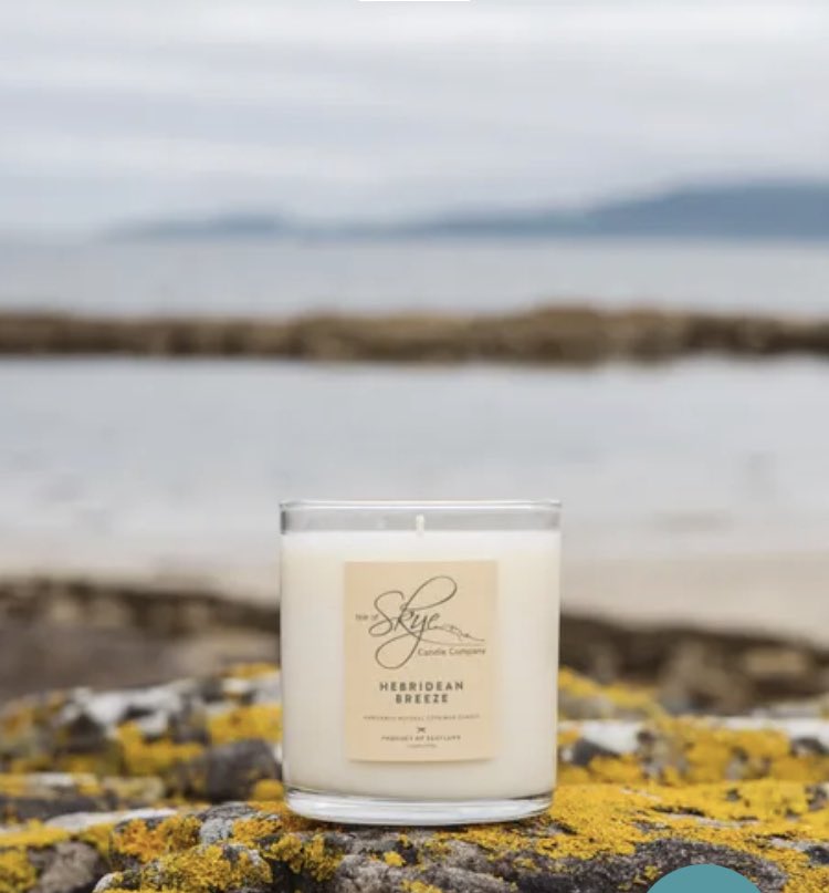 Beachology tweet media