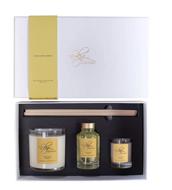 Beachology tweet media