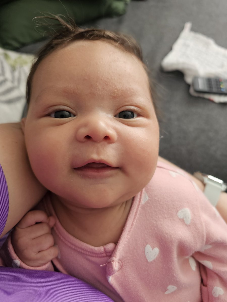 hanbeau3's tweet photo. FYI... I have a new bestie 🩷 my little Willow Alexandra, 6 weeks of loving her already @antmalc 🥰 https://t.co/6EVu0qgPy4