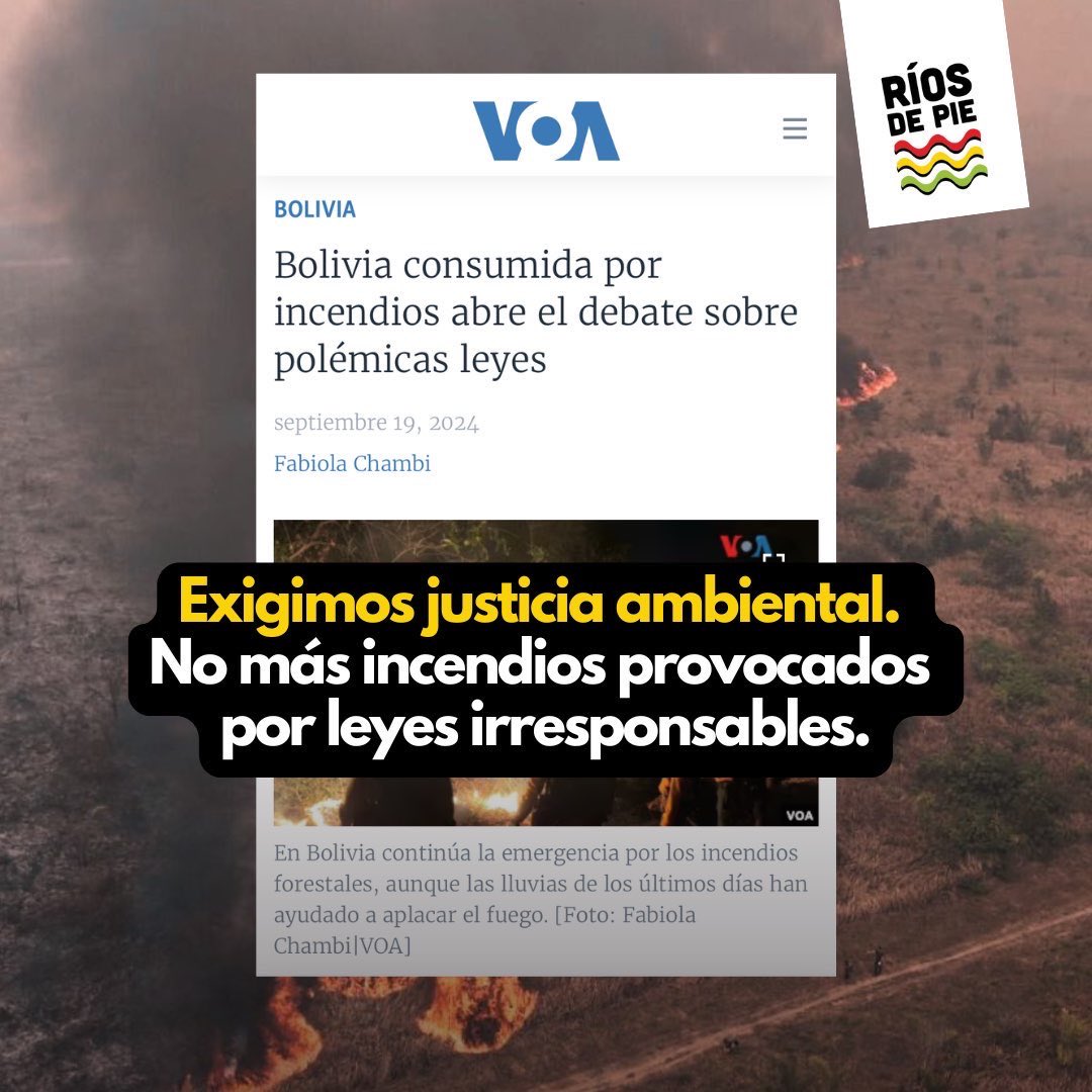 Los incendios que arrasan la Amazonía boliviana no son solo un desastre natural, son una tragedia provocada por la inacción y las leyes permisivas del gobierno. Desde el 2013, normativas como la Ley 337 y el Decreto 3973 han incentivado la deforestación y las quemas