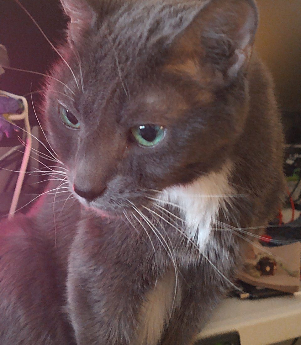 I fell hard onto my bad knee on concrete yesterday doing laundry; this is me falling off my chronically ill treadmill FML

Please help me afford my rent and meds this month ($700) because I can't do this myself since I'm clumsy and broken  ko-fi.com/pamharvestcraft

Luv you all!!!!