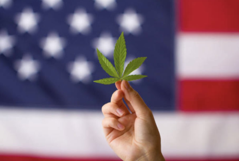 MetaFloraLabs's tweet image. Did you know?💬

The first U.S. flag was made from hemp 🇺🇸

Hemp fibers were used to create the fabric for the original American flag in the 18th century.

#HempHistory #web3weed #web3cannabis