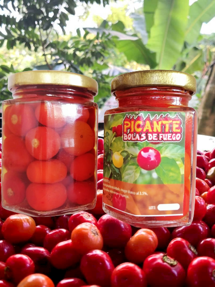 granjaalternat's tweet photo. 1 h
granjaalternativa
🍒Picante Bolas de Fuego🍒 El Toque Natural y Único que Enciende tu Comida”

Punto de venta  Granja Alternativa y en el Restaurante Gallo Pinto de la Interamericana en Penonomé

Un producto 100% ecológico

Contáctanos

6621-0225

@restaurantegallopinto https://t.co/9xCrtctAQN
